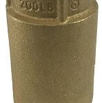 Check Valve